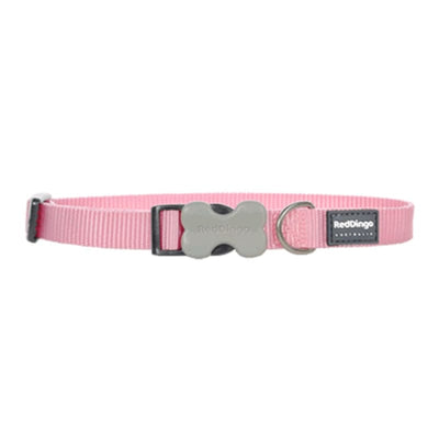 Red Dingo Red Dingo Bucklebone Classic Pink Dog Collar (4 Sizes) Dog Accessories