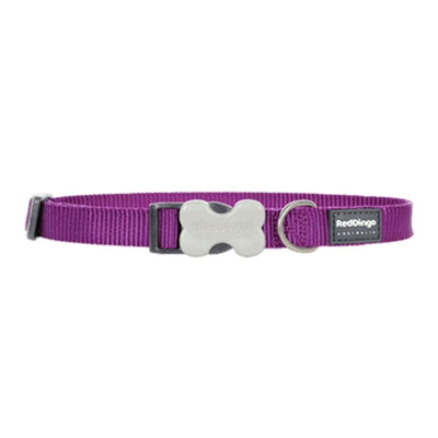 Red Dingo Red Dingo Bucklebone Classic Purple Dog Collar (4 Sizes) Dog Accessories