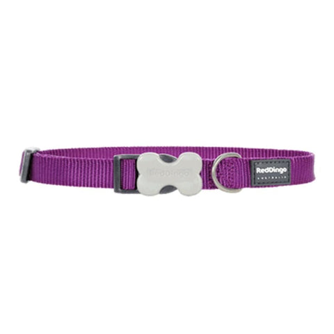 Red Dingo Red Dingo Bucklebone Classic Purple Dog Collar (4 Sizes) Dog Accessories