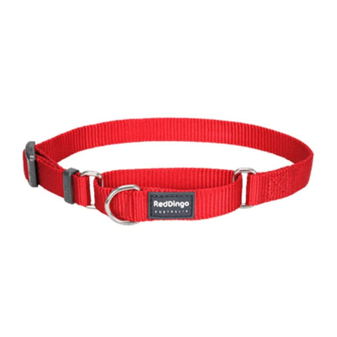 Red Dingo Red Dingo Martingale Half Check Red Dog Collar (4 Sizes) Dog Accessories