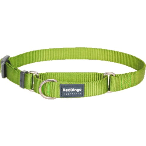 Red Dingo Red Dingo Martingale Half Check Lime Green Dog Collar (4 Sizes) Dog Accessories