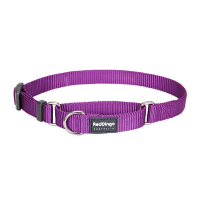 Red Dingo Red Dingo Martingale Half Check Purple Dog Collar (4 Sizes) Dog Accessories