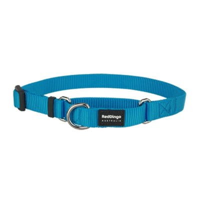 Red Dingo Red Dingo Martingale Half Check Turquoise Dog Collar (4 Sizes) Dog Accessories