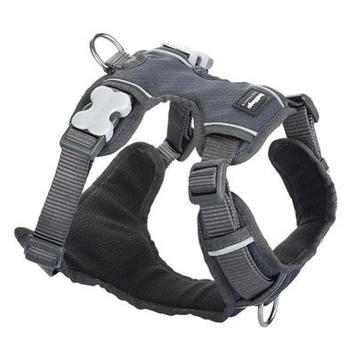 Red Dingo Red Dingo Padded Charcoal Dog Harness (5 Sizes) Dog Accessories
