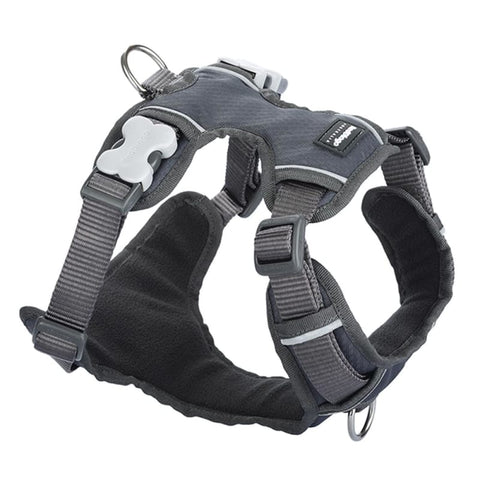 Red Dingo Red Dingo Padded Charcoal Dog Harness (5 Sizes) Dog Accessories