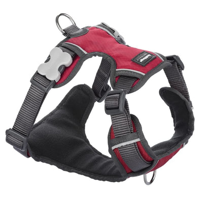 Red Dingo Red Dingo Padded Red Dog Harness (5 Sizes) Dog Accessories