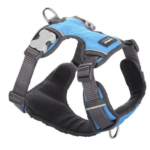 Red Dingo Red Dingo Padded Turquoise Dog Harness (5 Sizes) Dog Accessories