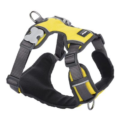 Red Dingo Red Dingo Padded Yellow Dog Harness (5 Sizes) Dog Accessories