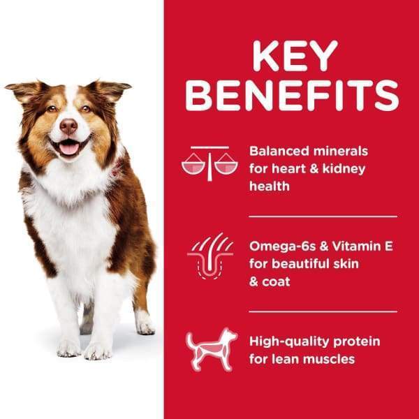 Science Diet [20% OFF] Science Diet Adult 7+ Chicken Meal & Barley Rice Recipe dry dog food Dog Food & Treats