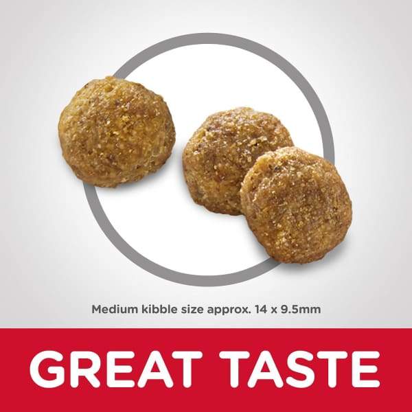 Science Diet [20% OFF] Science Diet Adult Chicken & Barley Recipe Dry Dog Food Dog Food & Treats