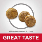 Science Diet [20% OFF] Science Diet Adult Chicken & Barley Recipe Dry Dog Food Dog Food & Treats