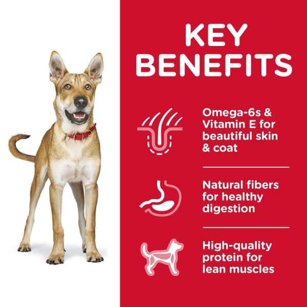 Science Diet [20% OFF] Science Diet Adult Chicken & Barley Recipe Dry Dog Food Dog Food & Treats