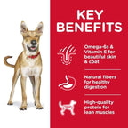 Science Diet [20% OFF] Science Diet Adult Chicken & Barley Recipe Dry Dog Food Dog Food & Treats