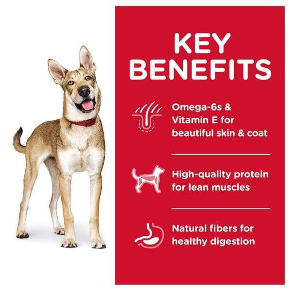 Science Diet [20% OFF] Science Diet Adult Lamb Meal & Brown Rice Recipe Dry Dog Food Dog Food & Treats