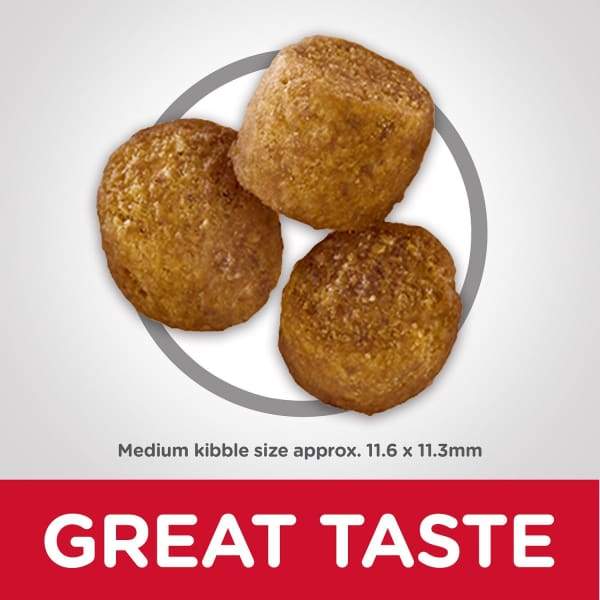 Science Diet [20% OFF] Science Diet Adult Perfect Weight Dry Dog Food Dog Food & Treats