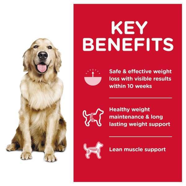 Science Diet [20% OFF] Science Diet Adult Perfect Weight Dry Dog Food Dog Food & Treats