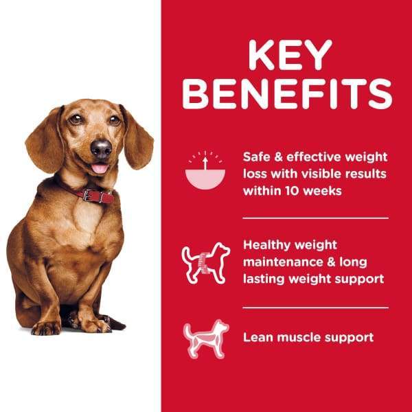 Science Diet [20% OFF] Science Diet Adult Perfect Weight Small & Mini Dry Dog Food 4lbs Dog Food & Treats