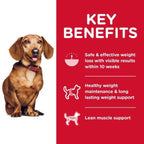Science Diet [20% OFF] Science Diet Adult Perfect Weight Small & Mini Dry Dog Food 4lbs Dog Food & Treats