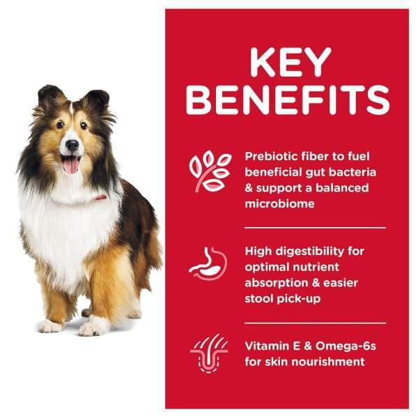 Science Diet [20% OFF] Science Diet Adult Sensitive Stomach & Skin Dry Dog Food Dog Food & Treats