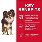 Science Diet [20% OFF] Science Diet Adult Sensitive Stomach & Skin Small Mini Chicken Recipe Dry Dog Food Dog Food & Treats