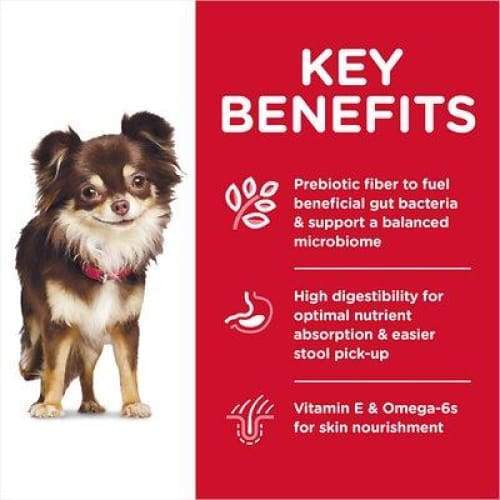 Science Diet [20% OFF] Science Diet Adult Sensitive Stomach & Skin Small Mini Chicken Recipe Dry Dog Food Dog Food & Treats