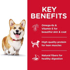 Science Diet [20% OFF] Science Diet Adult Small Bites Lamb Meal & Brown Rice Recipe Dry Dog Food Dog Food & Treats