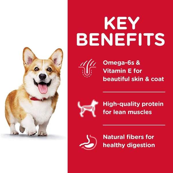 Science Diet [20% OFF] Science Diet Adult Small Bites Lamb Meal & Brown Rice Recipe Dry Dog Food Dog Food & Treats