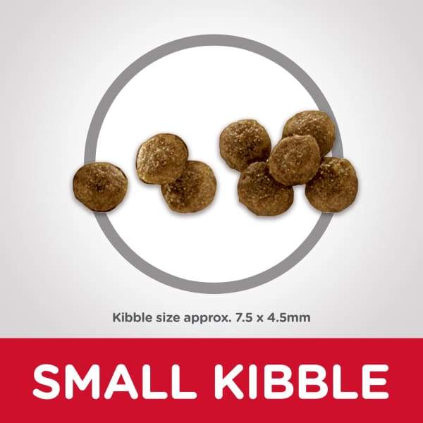 Science Diet [20% OFF] Science Diet Adult Small Paws Lamb Meal & Brown Rice Recipe Dry Dog Food Dog Food & Treats