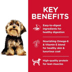 Science Diet [20% OFF] Science Diet Adult Small Paws Lamb Meal & Brown Rice Recipe Dry Dog Food Dog Food & Treats