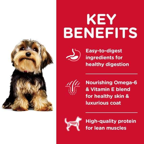 Science Diet [20% OFF] Science Diet Adult Small Paws Lamb Meal & Brown Rice Recipe Dry Dog Food Dog Food & Treats