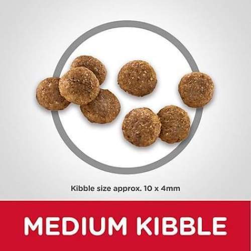 Science Diet [20% OFF] Science Diet Puppy Chicken Meal & Barley Recipe Dry Dog Food Dog Food & Treats