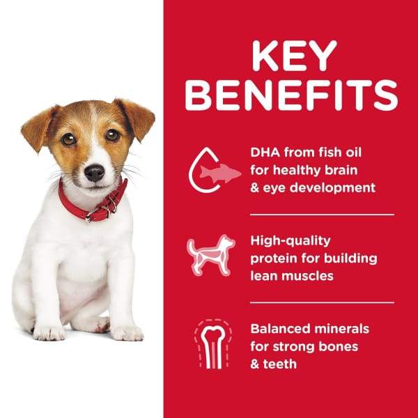 Science Diet [20% OFF] Science Diet Puppy Small Bites Chicken & Barley Recipe Dry Dog Food Dog Food & Treats