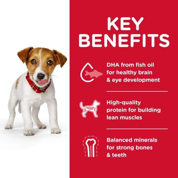 Science Diet [20% OFF] Science Diet Puppy Small Bites Lamb Meal & Brown Rice Recipe Dry Dog Food Dog Food & Treats