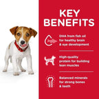 Science Diet [20% OFF] Science Diet Puppy Small Bites Lamb Meal & Brown Rice Recipe Dry Dog Food Dog Food & Treats