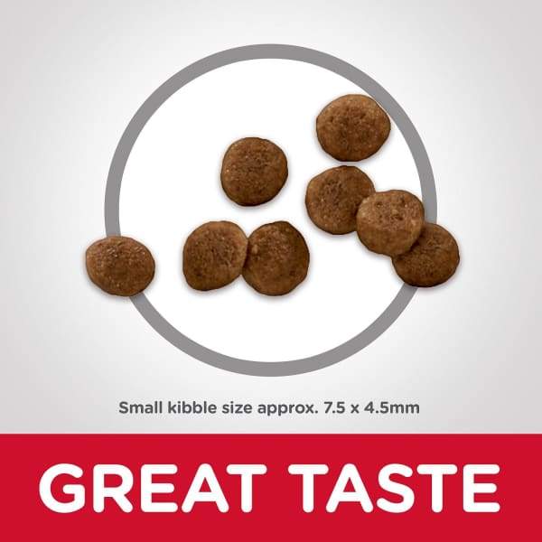 Science Diet [20% OFF] Science Diet Puppy Small Paws Chicken Meal Barley & Brown Rice Recipe Dry Dog Food 1.5kg Dog Food & Treats