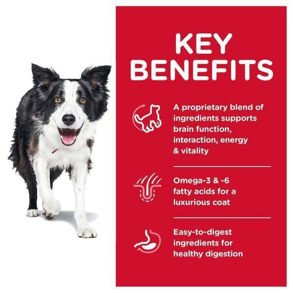 Science Diet [20% OFF] Science Diet Youthful Vitality Adult 7+Chicken & Rice Recipe Dry Dog Food Dog Food & Treats