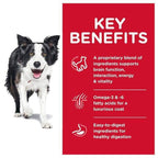 Science Diet [20% OFF] Science Diet Youthful Vitality Adult 7+Chicken & Rice Recipe Dry Dog Food Dog Food & Treats