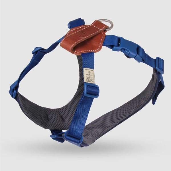 SPUTNIK Sputnik Blue Comfort Dog Harness Dog Accessories
