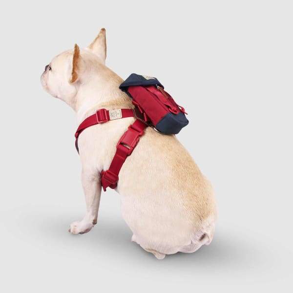 SPUTNIK Sputnik Clean Multi-Function Red Bag Dog Accessories