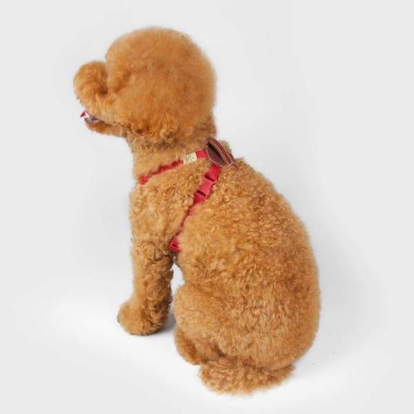 SPUTNIK Sputnik Red Comfort Dog Harness Dog Accessories