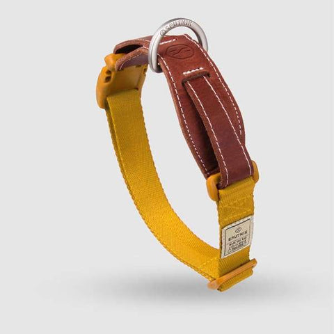 SPUTNIK Sputnik Yellow Dog Collar (3 Sizes) Dog Accessories