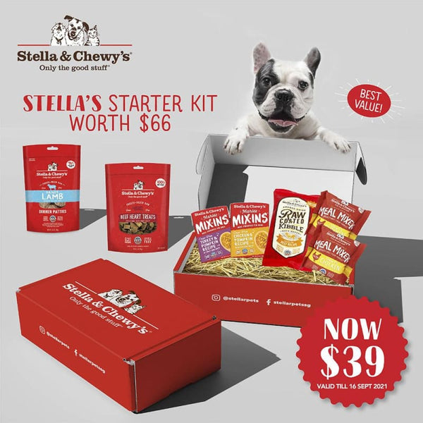 Stella & Chewy’s Stella & Chewy’s Starter Kit for Dogs Dog Food & Treats
