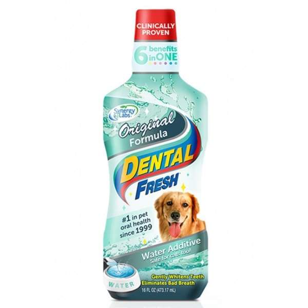 Synergy Labs Synergy Labs Dental Fresh 17oz Dog Healthcare