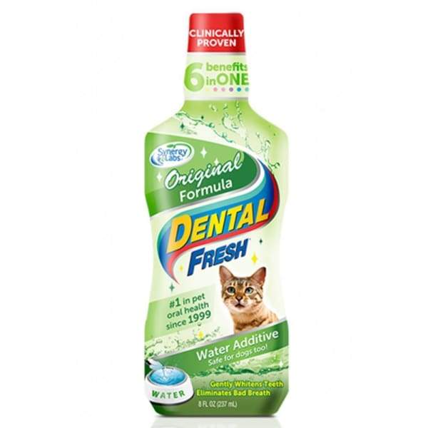 Synergy Labs Synergy Labs Dental Fresh Cat 8oz Cat Healthcare