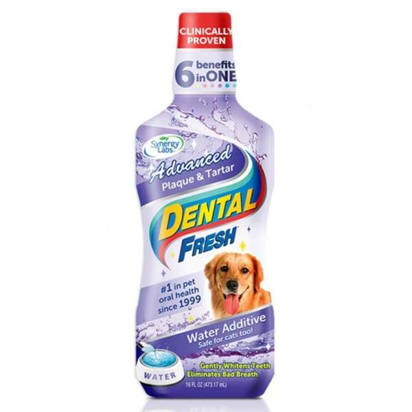Synergy Labs Synergy Labs Dental Fresh Plaque & Tartar 17oz Dog Healthcare