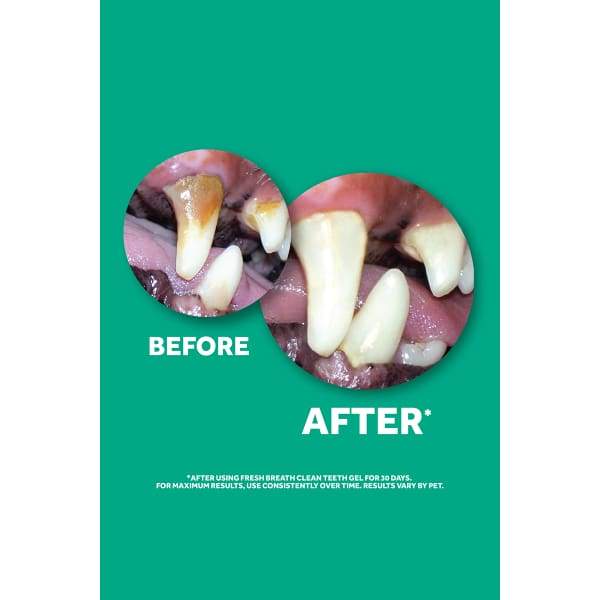 TropiClean [15% OFF] Tropiclean Fresh Breath Advanced Whitening Gel with 3D Micro Guard 4oz Dog Healthcare