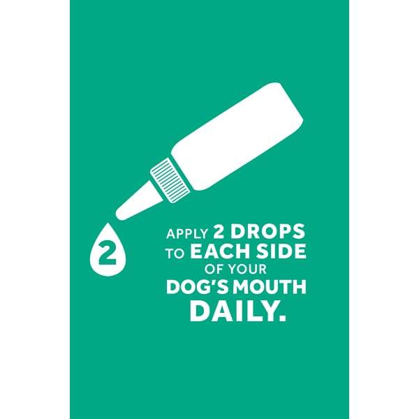 TropiClean [15% OFF] Tropiclean Fresh Breath Clean Teeth Gel 4oz Dog Healthcare