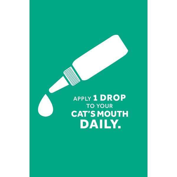 TropiClean [15% OFF] Tropiclean Fresh Breath Clean Teeth Gel For Cats 2oz Cat Healthcare