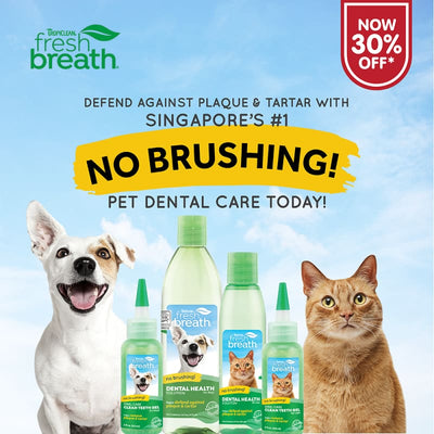 TropiClean [15% OFF] Tropiclean Fresh Breath Oral Care Foam for Dog & Cats 4.5oz Dog Healthcare