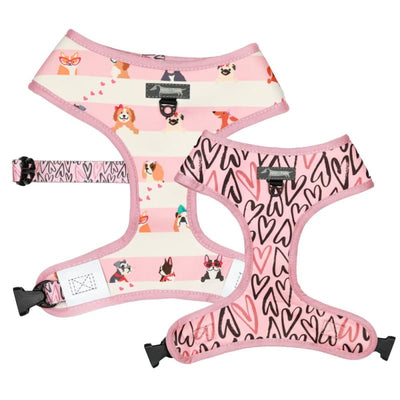 Moo + Twig [15% OFF] Moo + Twig Puppy Love Reversible Dog Harness (4 Sizes) Dog Accessories